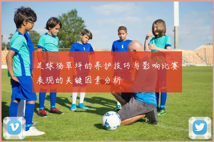 足球场草坪的养护技巧与影响比赛表现的关键因素分析