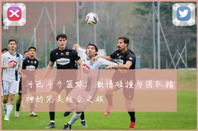 河西斗牛篮球：激情碰撞与团队精神的完美结合之旅